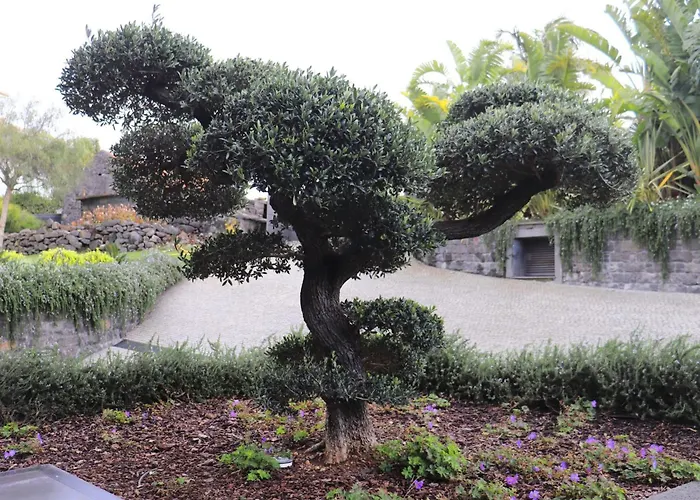 Bonsai By Interhome Arco da Calheta (Madeira)