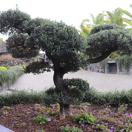 Bonsai By Interhome Arco da Calheta (Madeira)